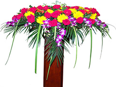 �c����Ʒ�����v�_